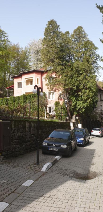 Casa Rosa Villa Baile Olanesti Exterior photo