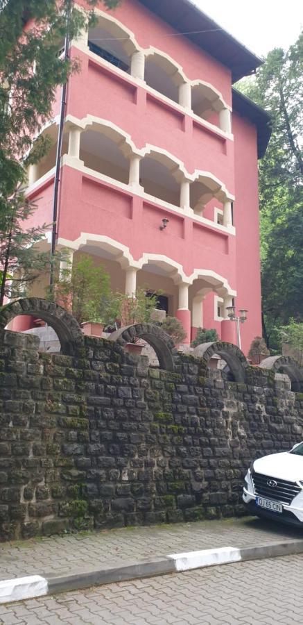 Casa Rosa Villa Baile Olanesti Exterior photo